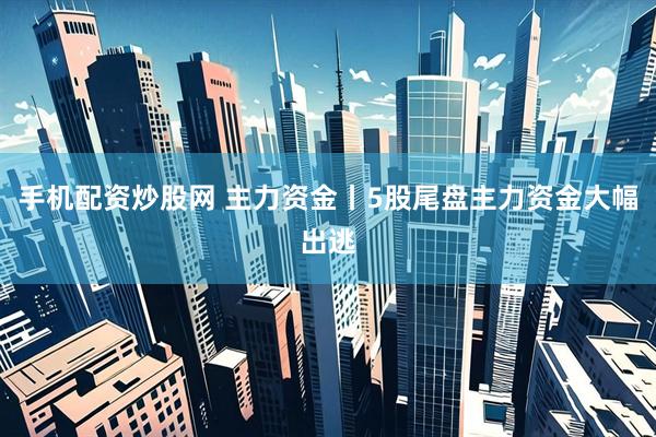 手机配资炒股网 主力资金丨5股尾盘主力资金大幅出逃